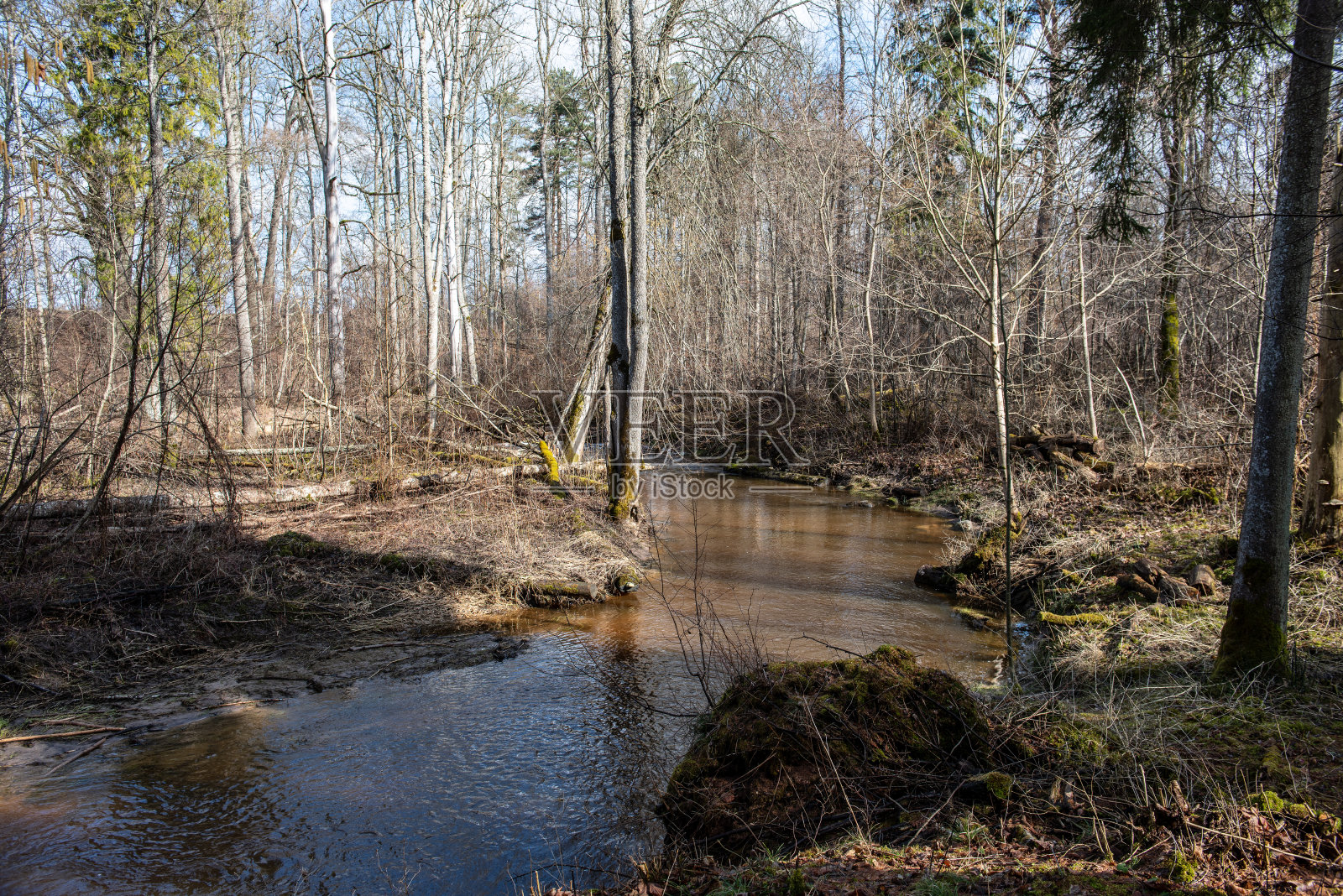 乡村森林河流在早春没有植被的海岸照片摄影图片