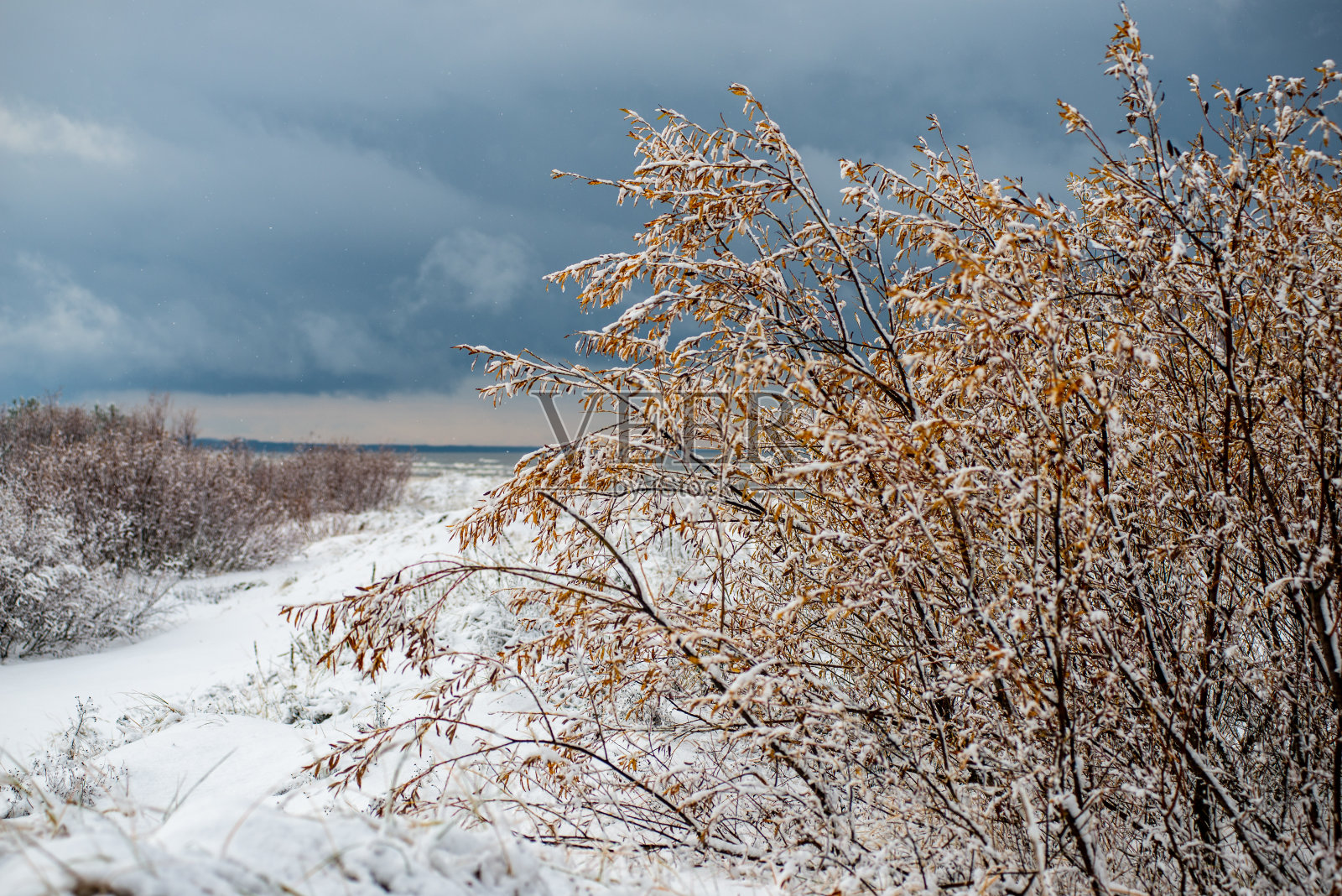 冰雪覆盖了海边的海滩照片摄影图片