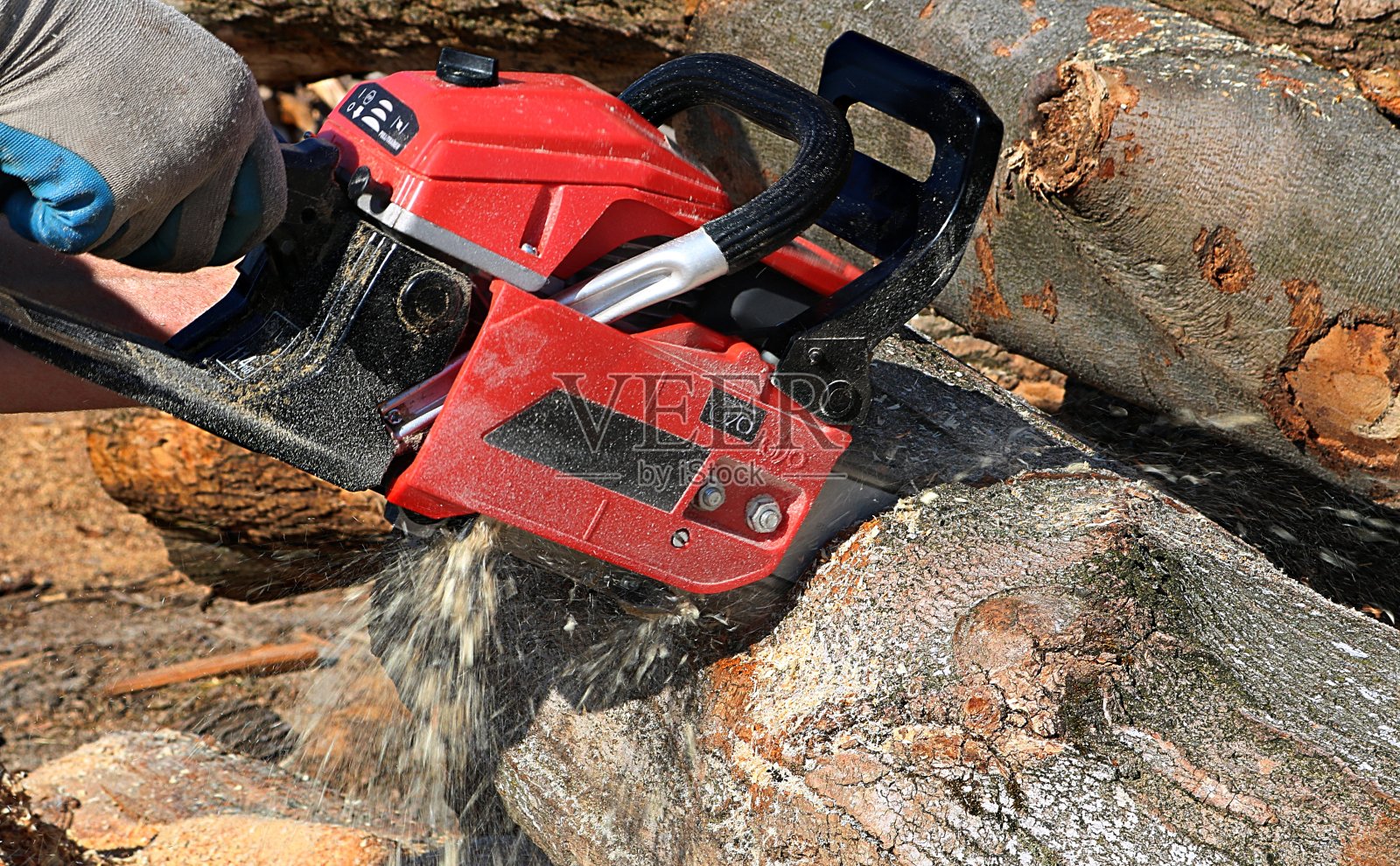 红色和黑色的链锯正在切割一根原木照片摄影图片