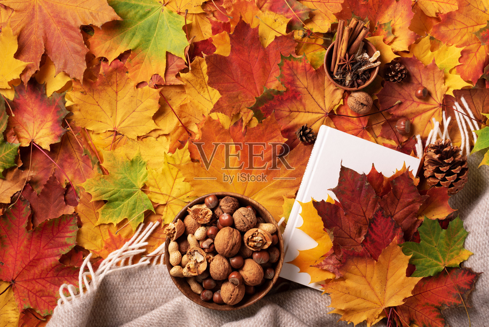 秋平。白色的书，木碗坚果，咖啡杯，蛋筒，肉桂米色格子和彩色的树叶背景。舒适舒适的静物生活。阅读时间。前视图。横幅照片摄影图片