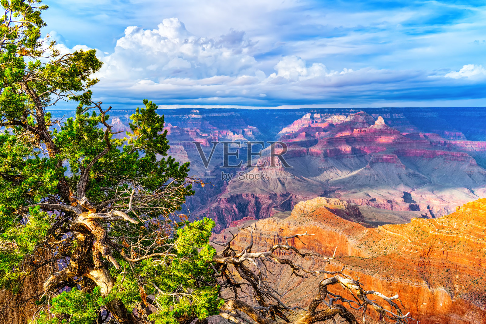 令人惊叹的自然地质构造-大峡谷在亚利桑那州，南缘。照片摄影图片