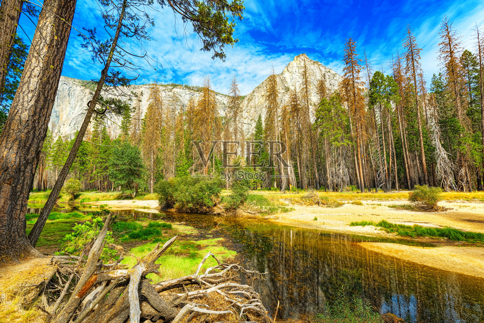 约塞米蒂山谷。壮丽的美国国家自然公园-约塞米蒂。照片摄影图片
