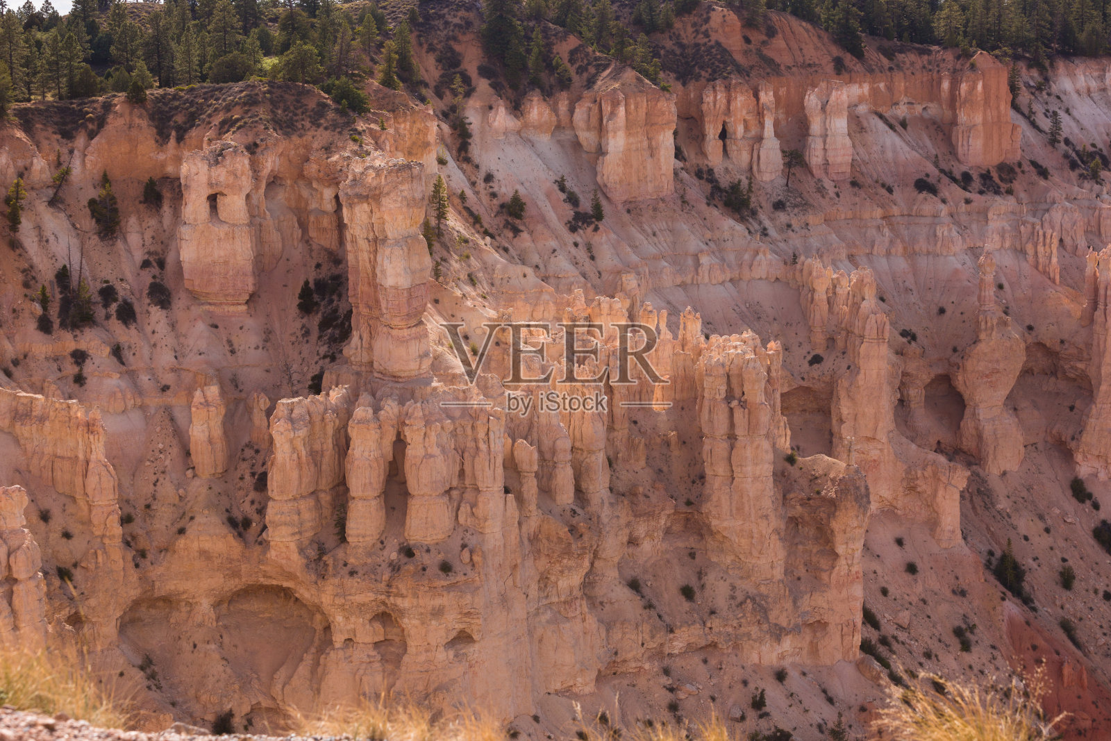 布莱斯峡谷国家公园照片摄影图片