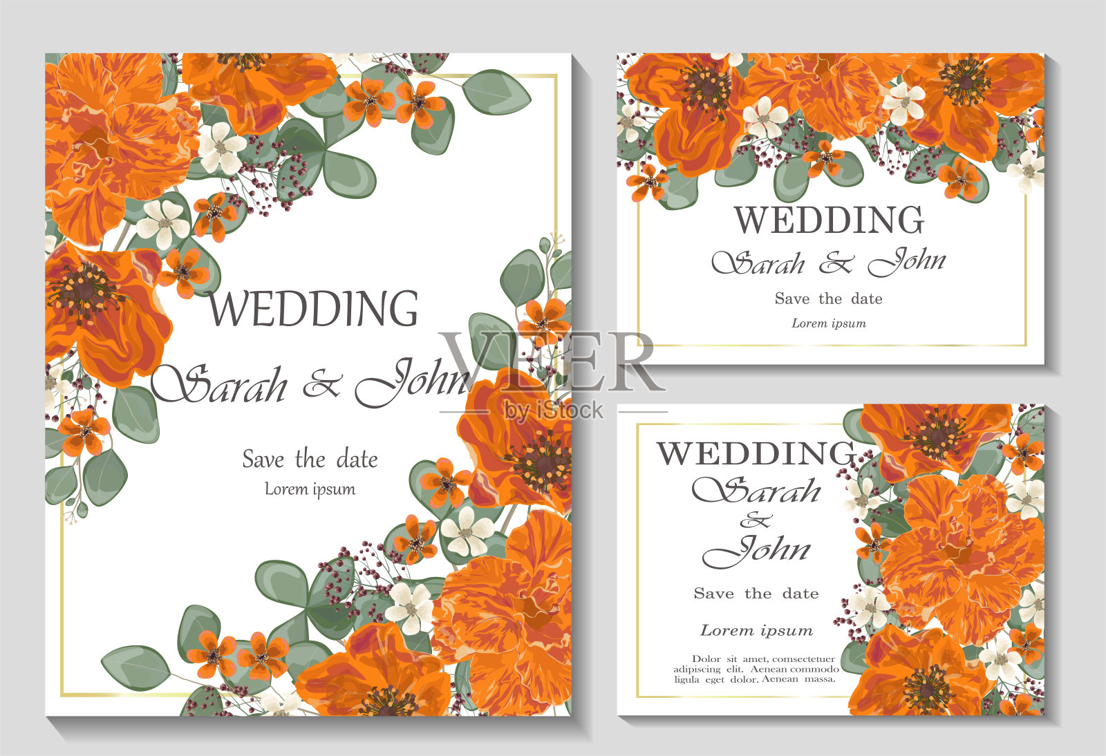 婚礼请柬用花和叶孤立在白色。设计模板素材