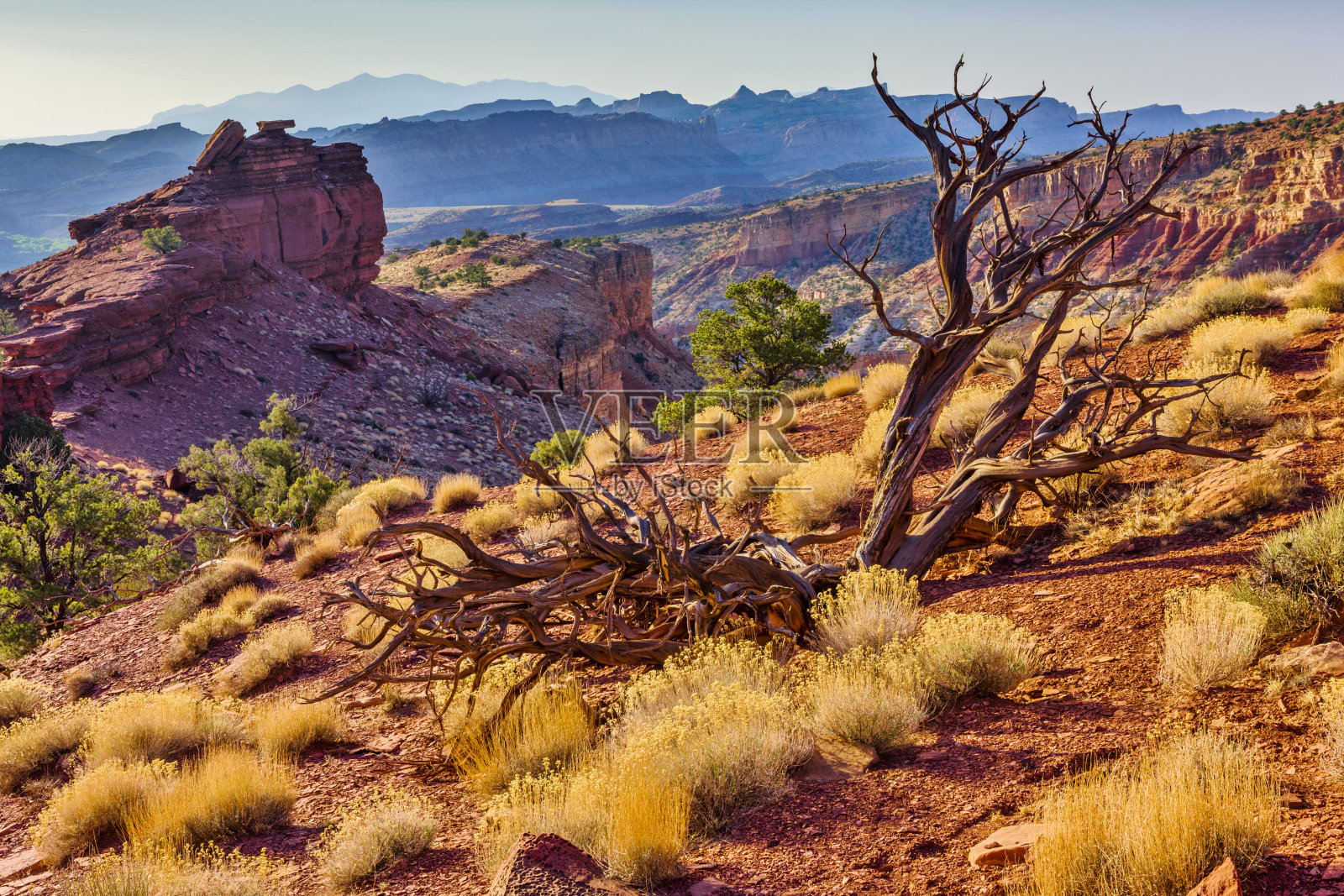 首都礁国家公园在犹他州照片摄影图片