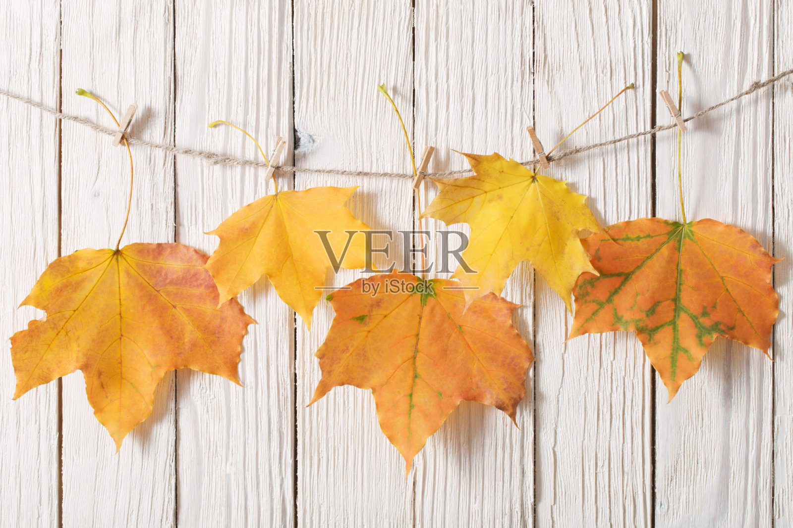 木制背景上的秋叶照片摄影图片