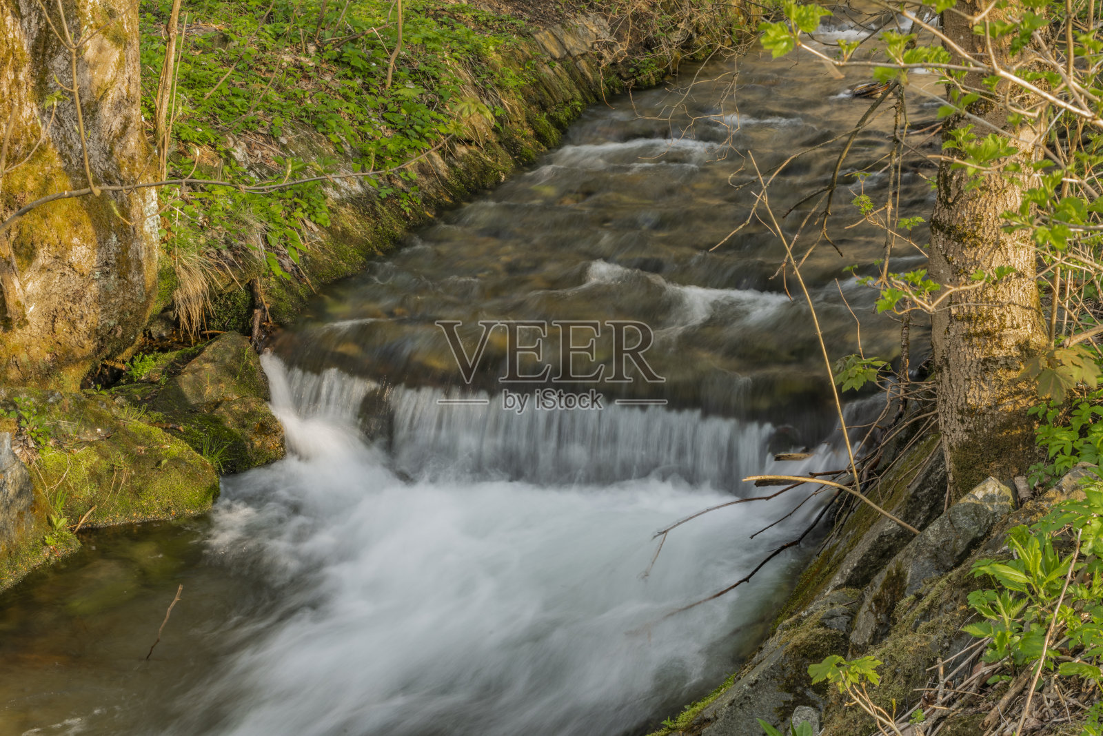布兰纳河在春天阳光明媚的傍晚与新鲜的绿草小巷照片摄影图片