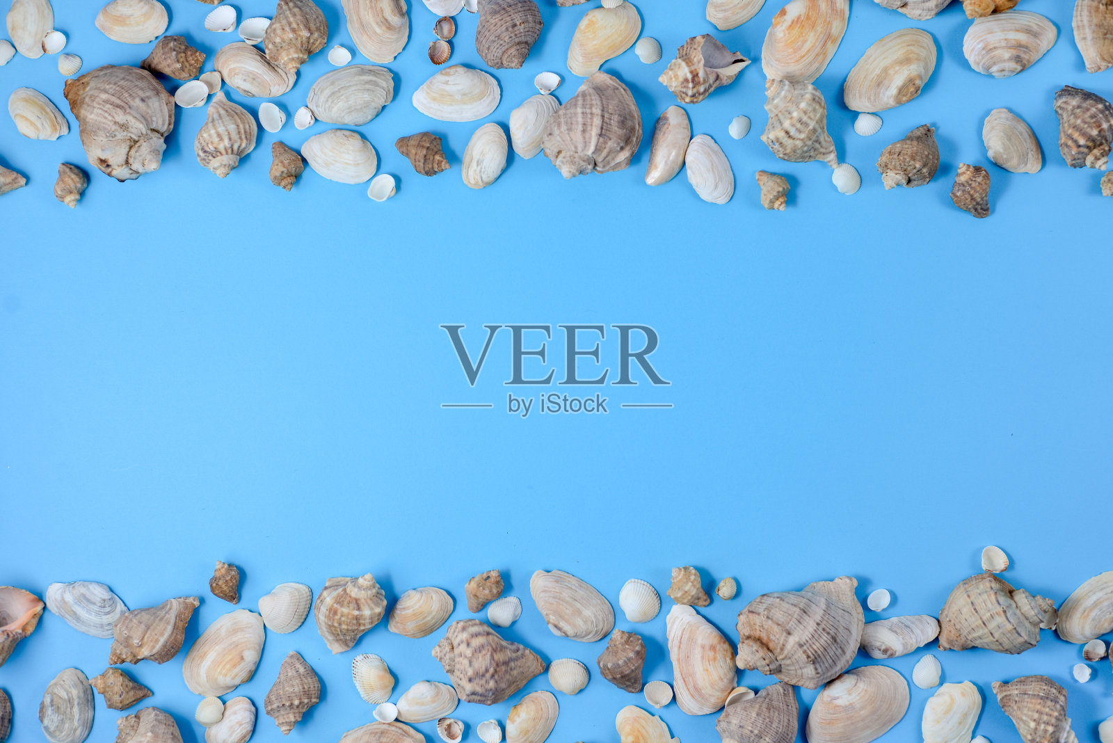 创意平铺暑期度假旅游理念。俯视图的各种贝壳上的蓝色背景。复制空间在最小的样式，模板为文本照片摄影图片