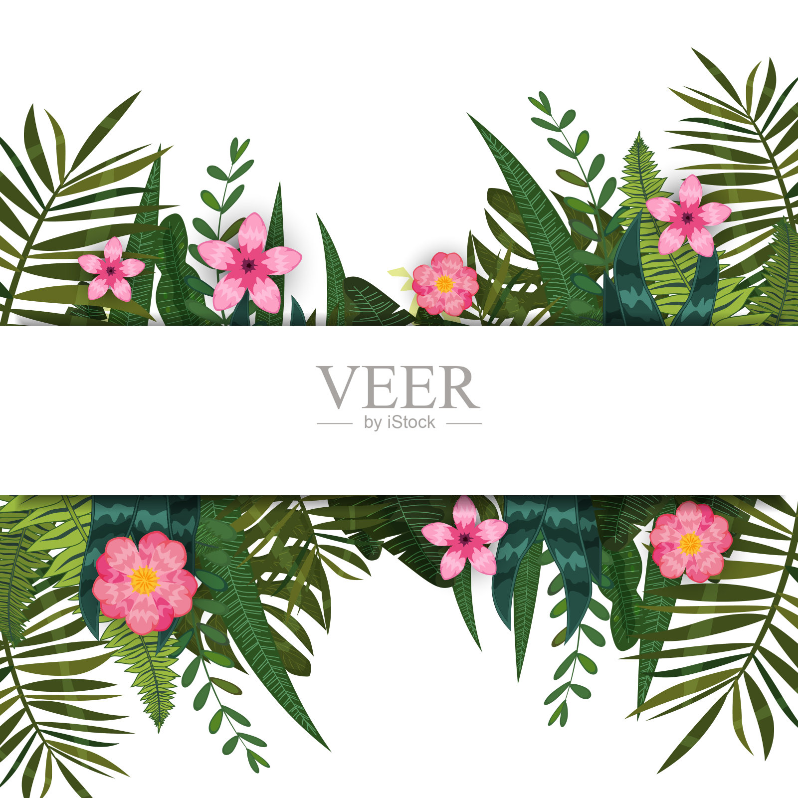 夏日时尚的热带叶和花。设计。背景模板的外来植物和芙蓉花。趋势模式丛林。矢量，插图，孤立，海报，横幅，传单，邀请照片摄影图片