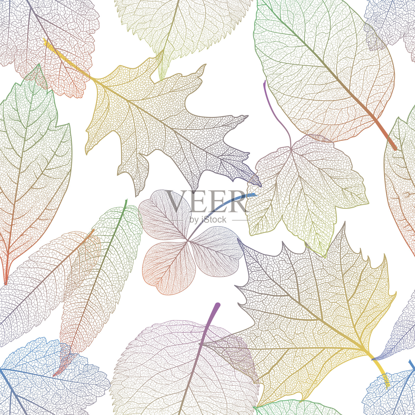 无缝图案与叶。插画图片素材