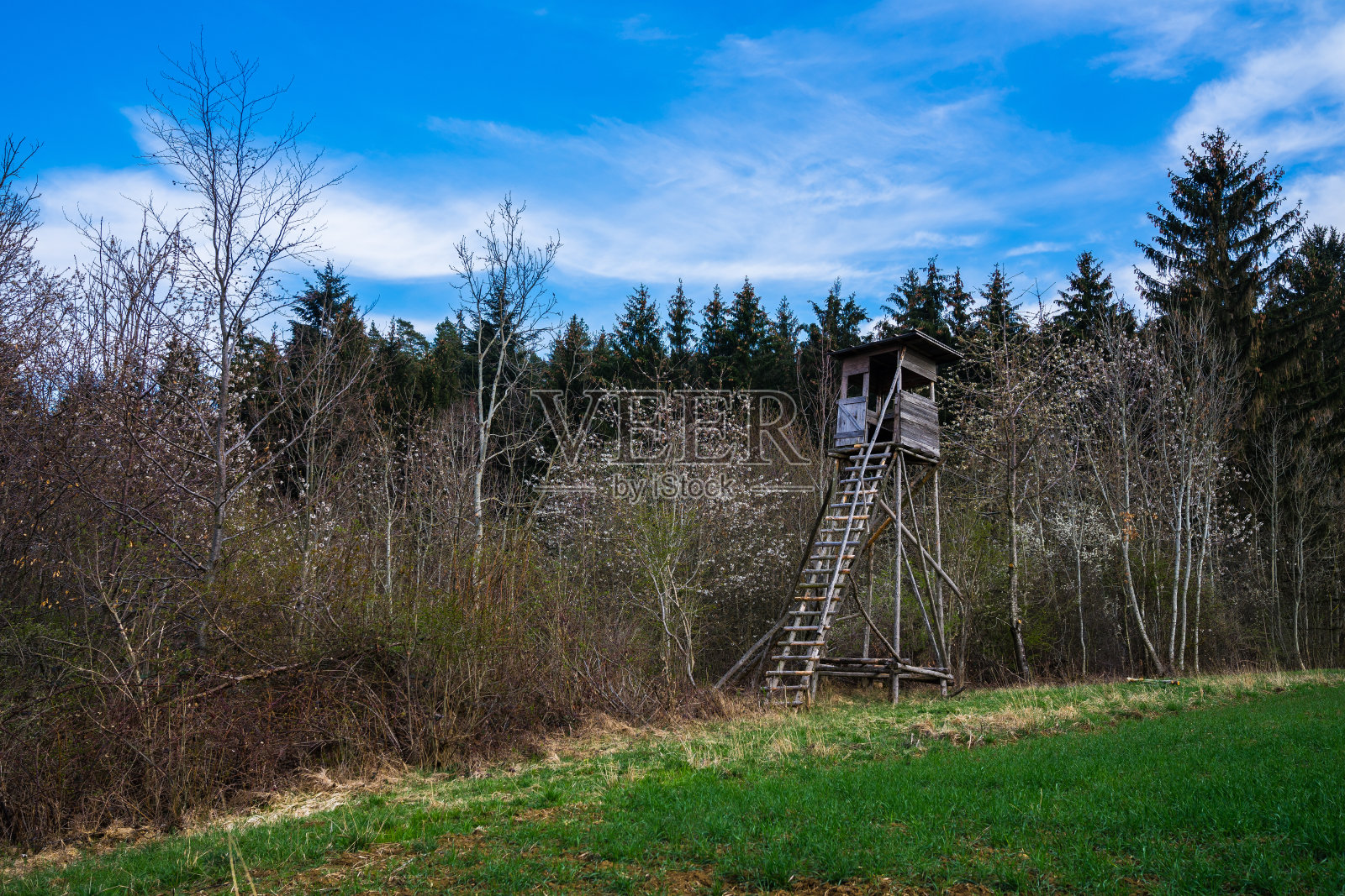 在森林的边缘，猎人木制的隆起的兽皮照片摄影图片