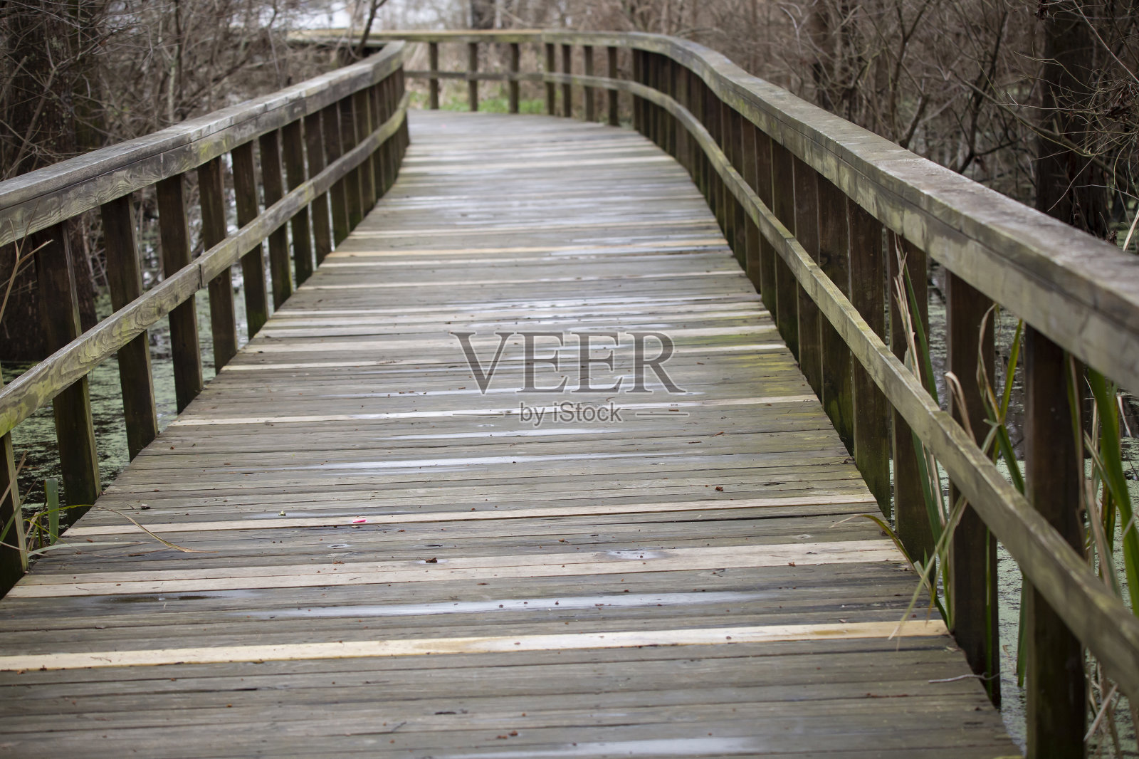 自然木板路照片摄影图片