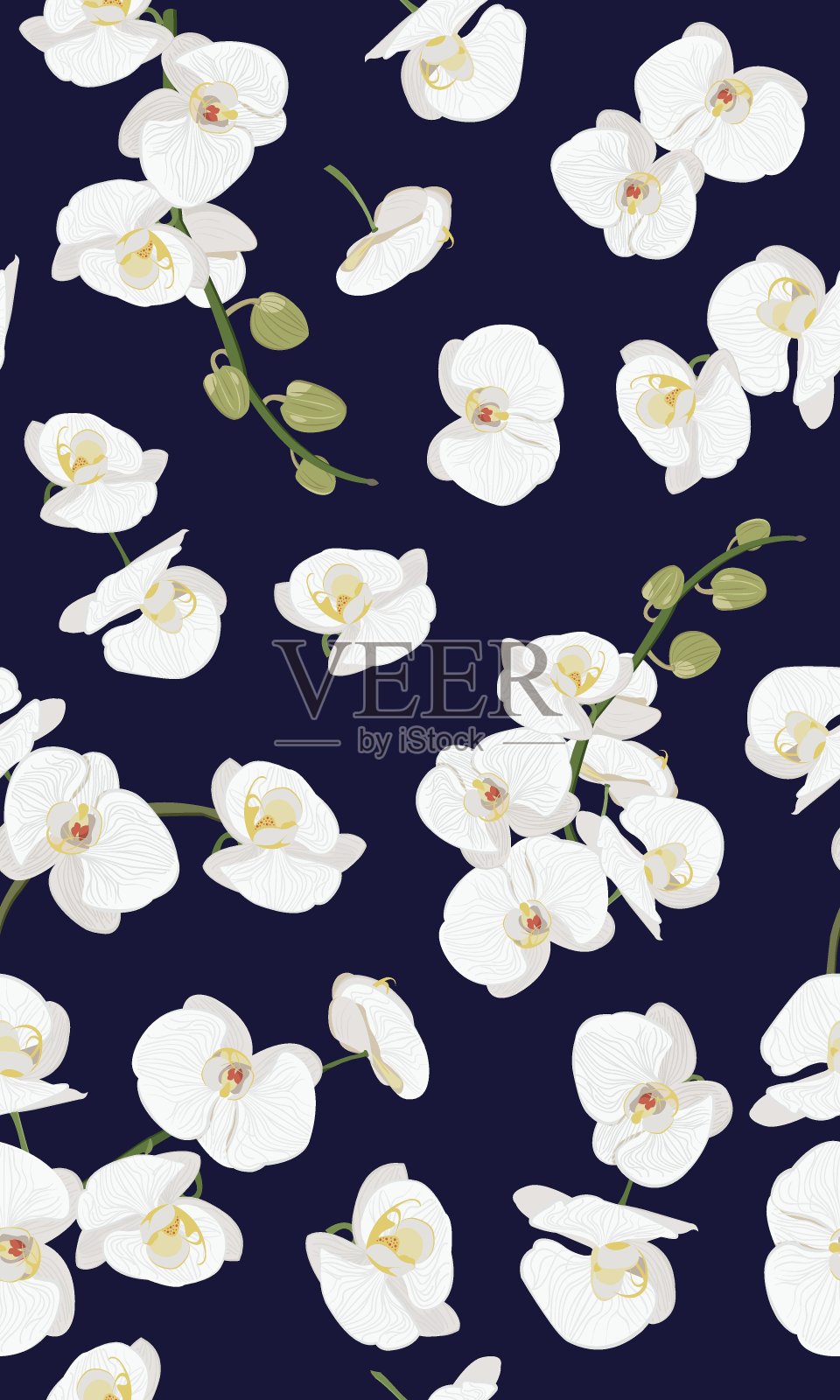 白兰花花无缝图案。花盛开盛开的叶子花束在深蓝色的背景。插画图片素材