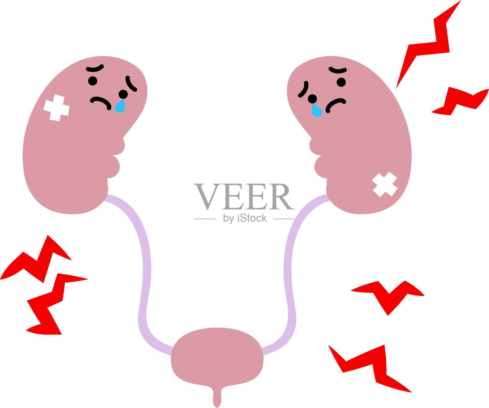 可爱的肾和膀胱的插图设计元素图片