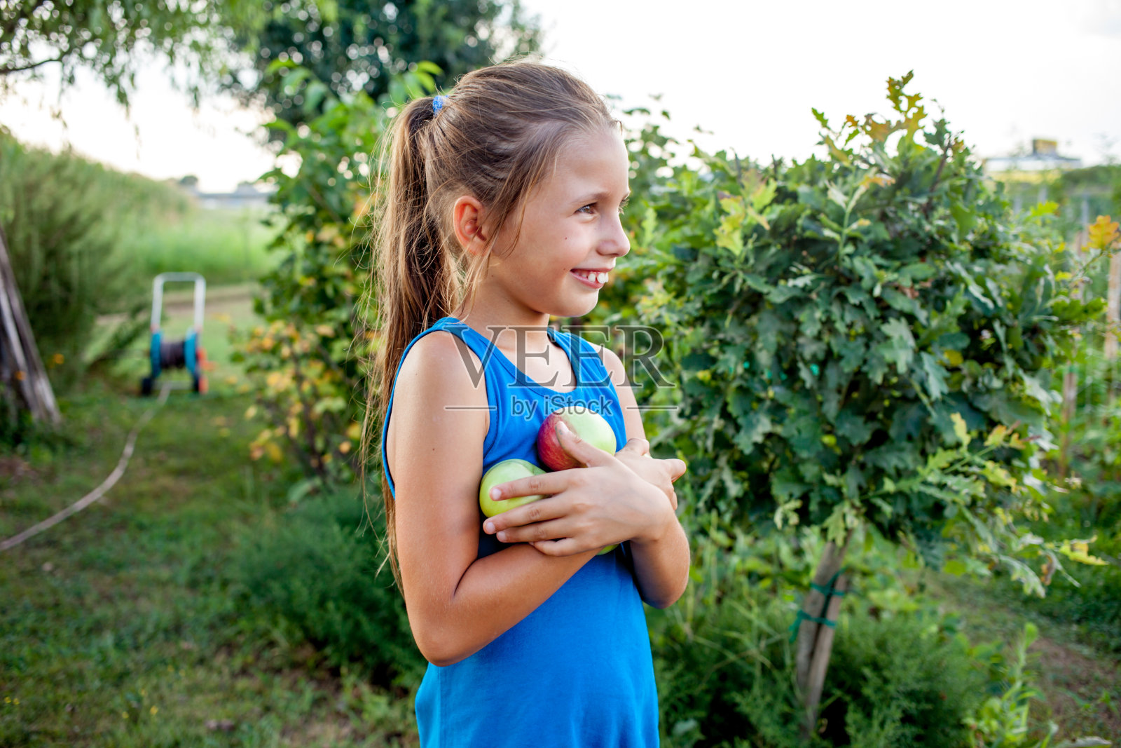 年轻女孩扛着刚收获的苹果照片摄影图片