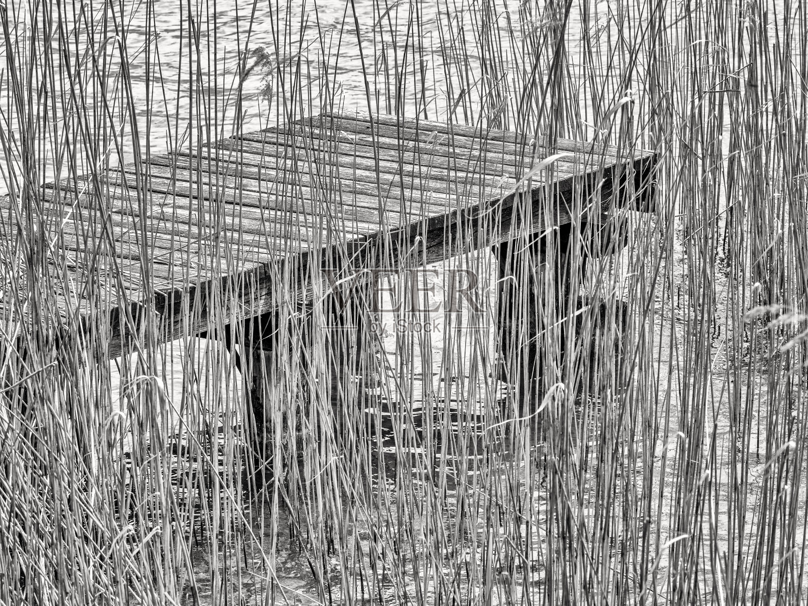 奥地利萨尔兹卡默古特风景区照片摄影图片