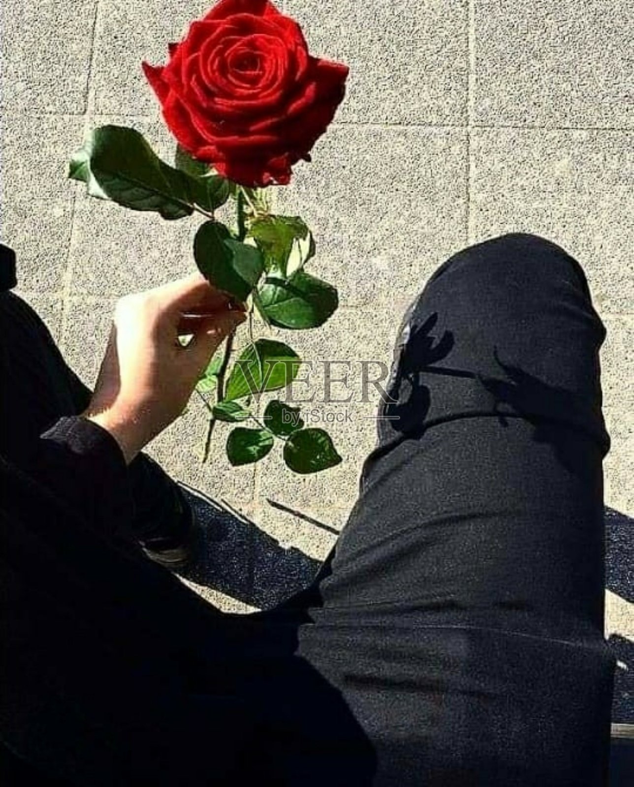 简单的生活照片摄影图片