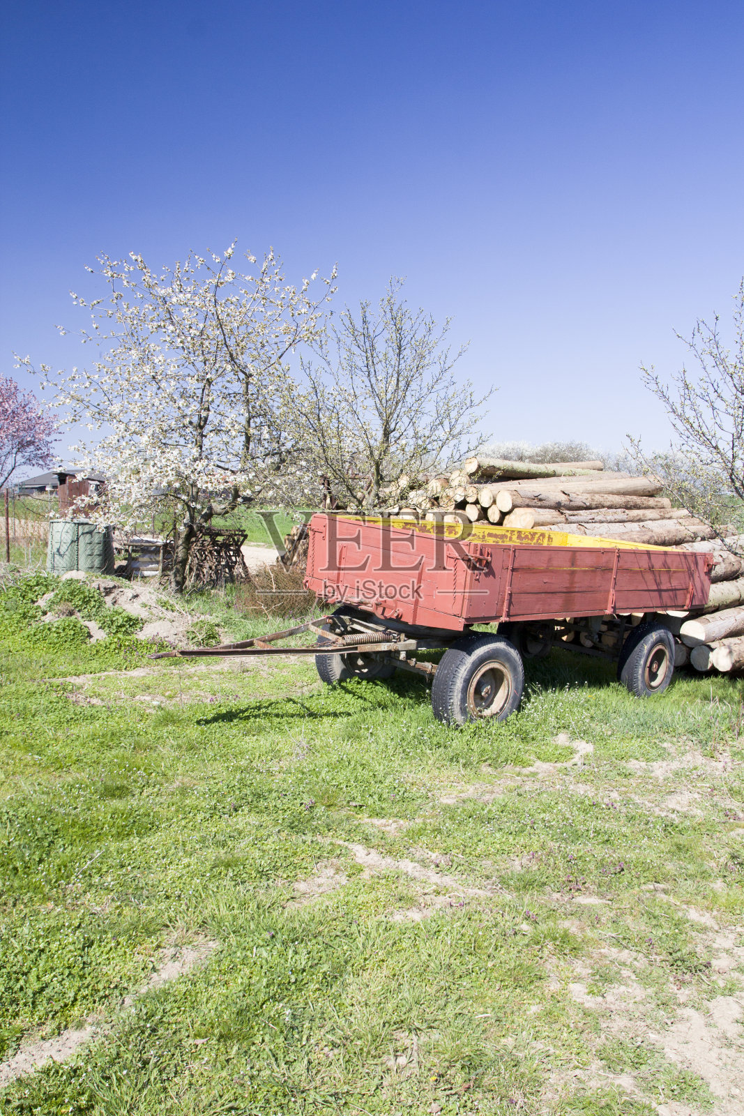 乡村春景在乡村照片摄影图片