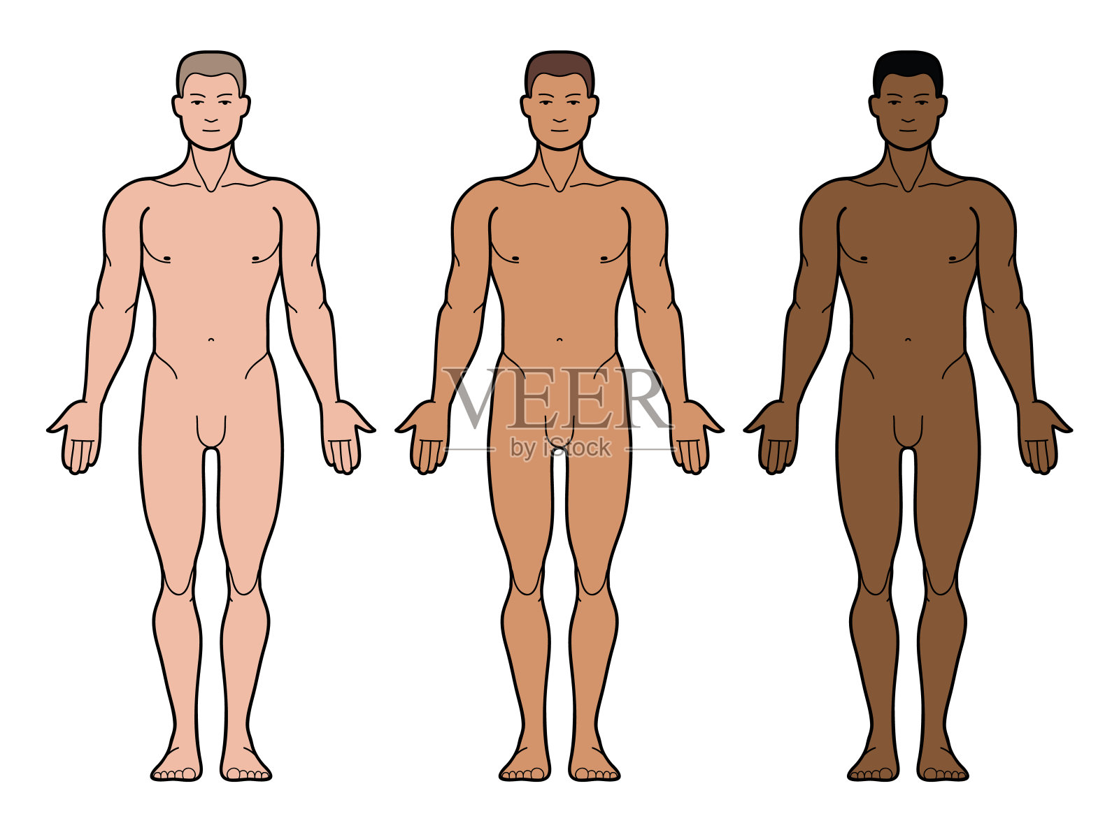 3种男性肤色插画图片素材