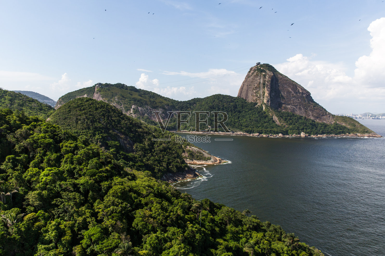 糖面包照片摄影图片