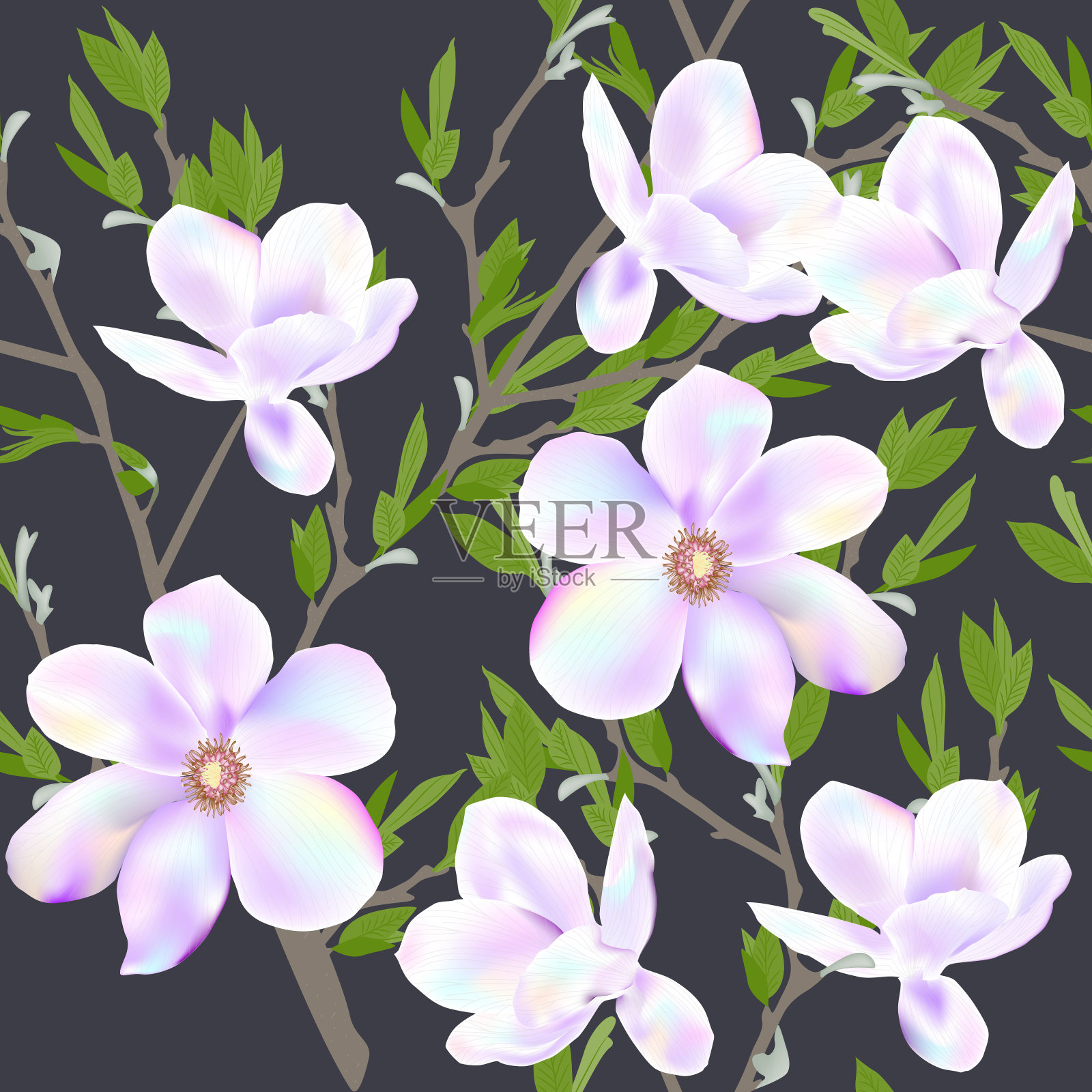 无缝图案花背景与花木兰。插画图片素材