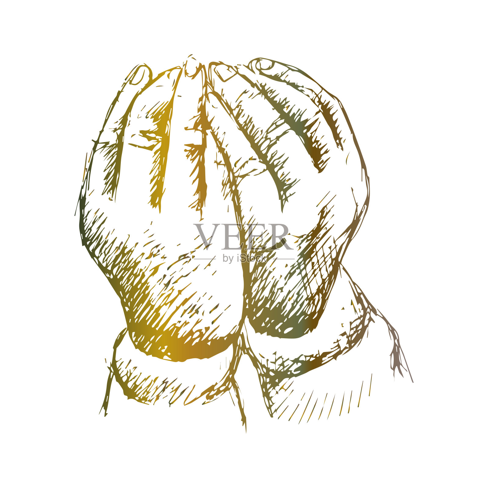 祈祷的手。手绘插图。插画图片素材