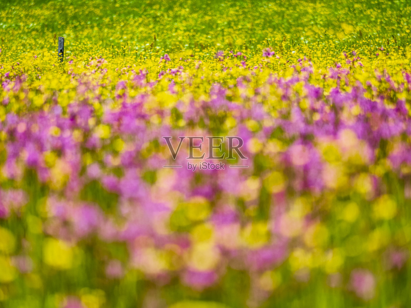 奥地利萨尔兹卡默古特风景区照片摄影图片