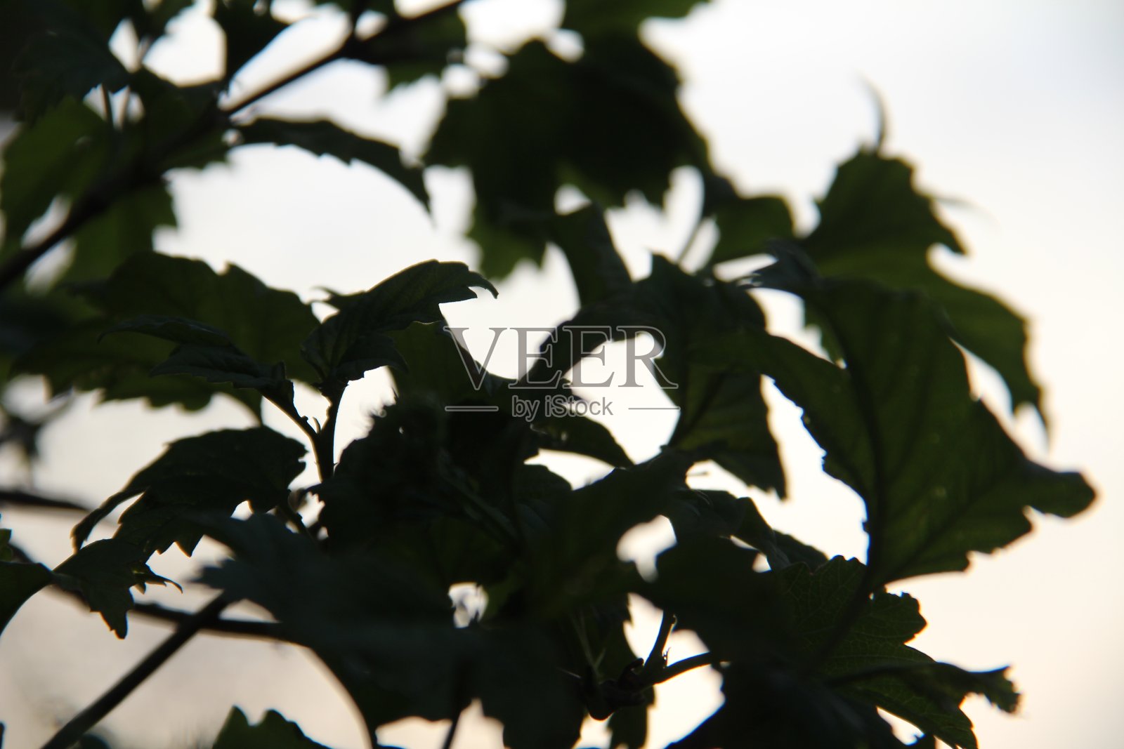 天空背景照片摄影图片