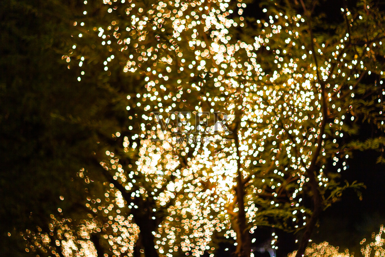 模糊的形象装饰室外串灯挂在树上，在夜晚的节日季节照片摄影图片
