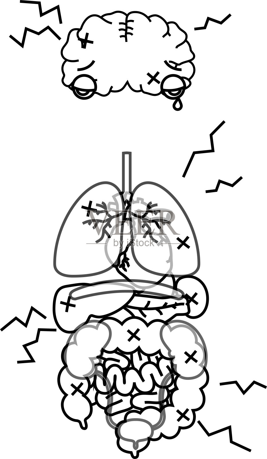 插图可爱的人体器官轮廓插画图片素材