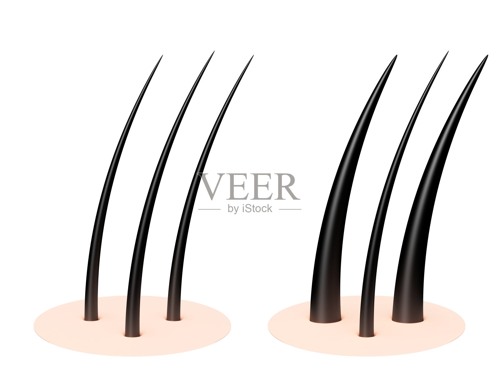 人的头皮。照片摄影图片