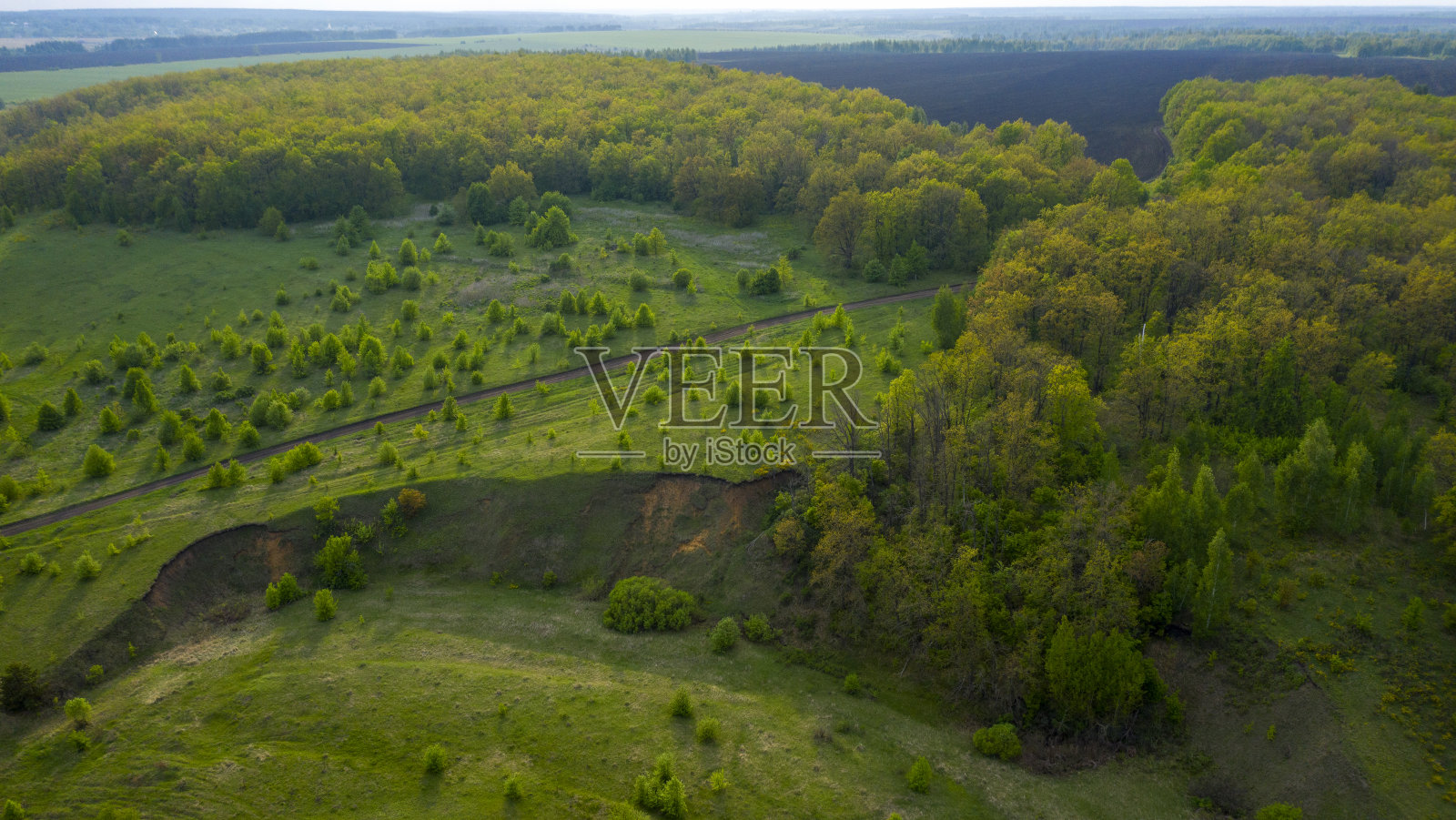 土路穿过草地，森林，田野，用四旋翼机鸟瞰照片摄影图片