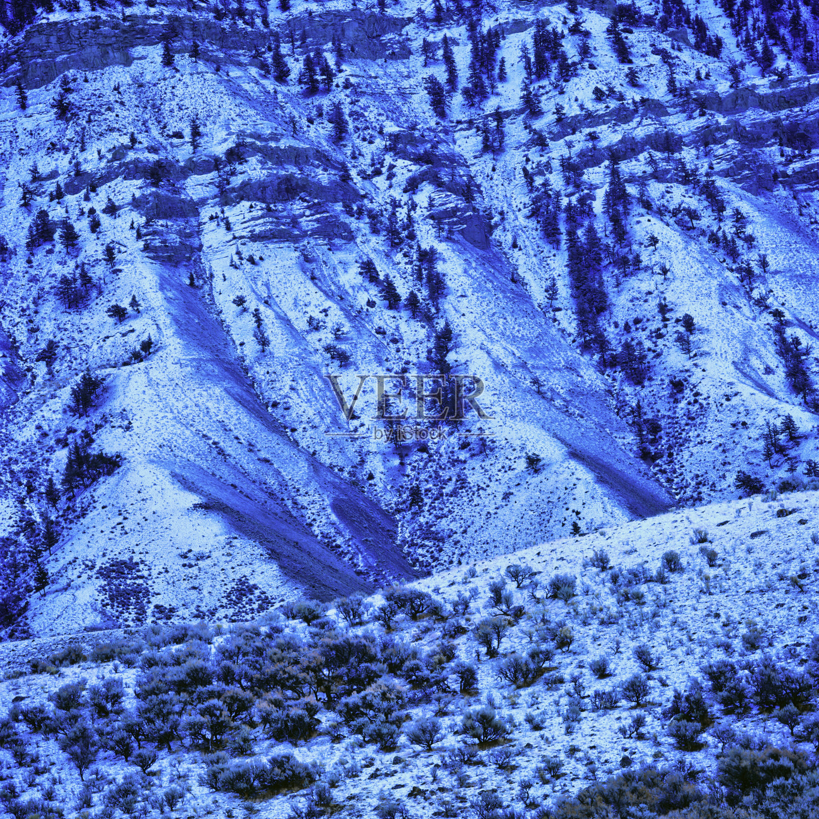 黄石国家公园在怀俄明州照片摄影图片