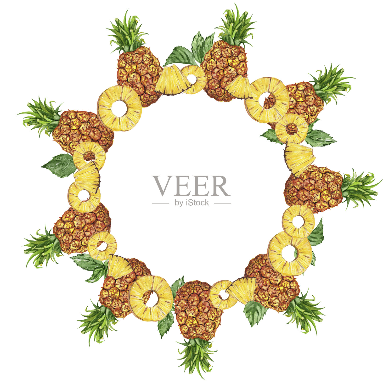 水果和树叶的水彩框架。插画图片素材