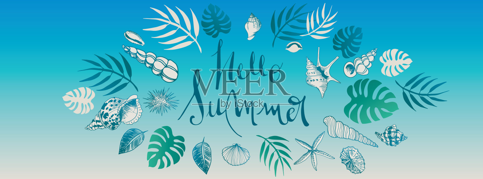 向量海贝横幅插画图片素材