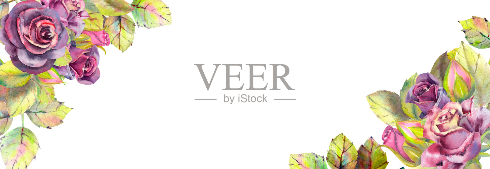 花深色玫瑰，绿叶，组成。水平框架方向。婚礼鲜花的概念。用于贺卡或请柬设计的水彩画。插画图片素材