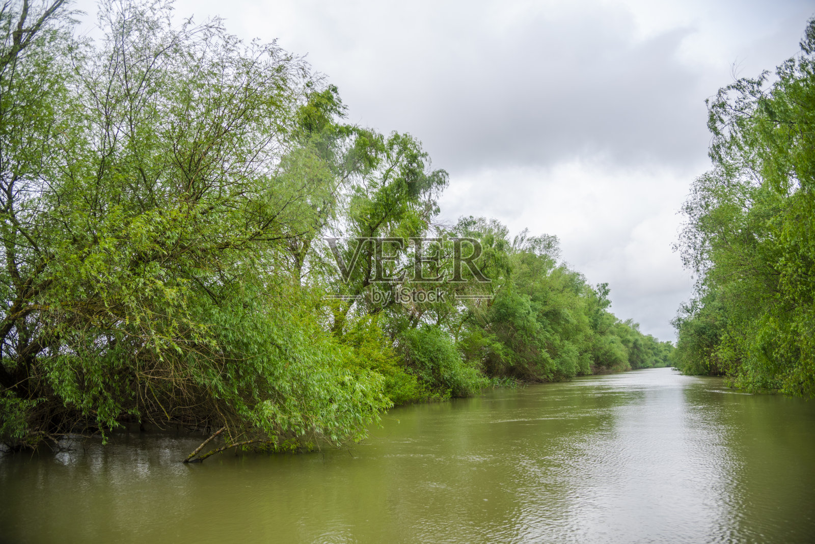 多瑙河三角洲的春天景色照片摄影图片