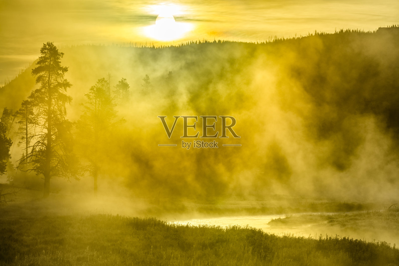 黄石国家公园在怀俄明州照片摄影图片