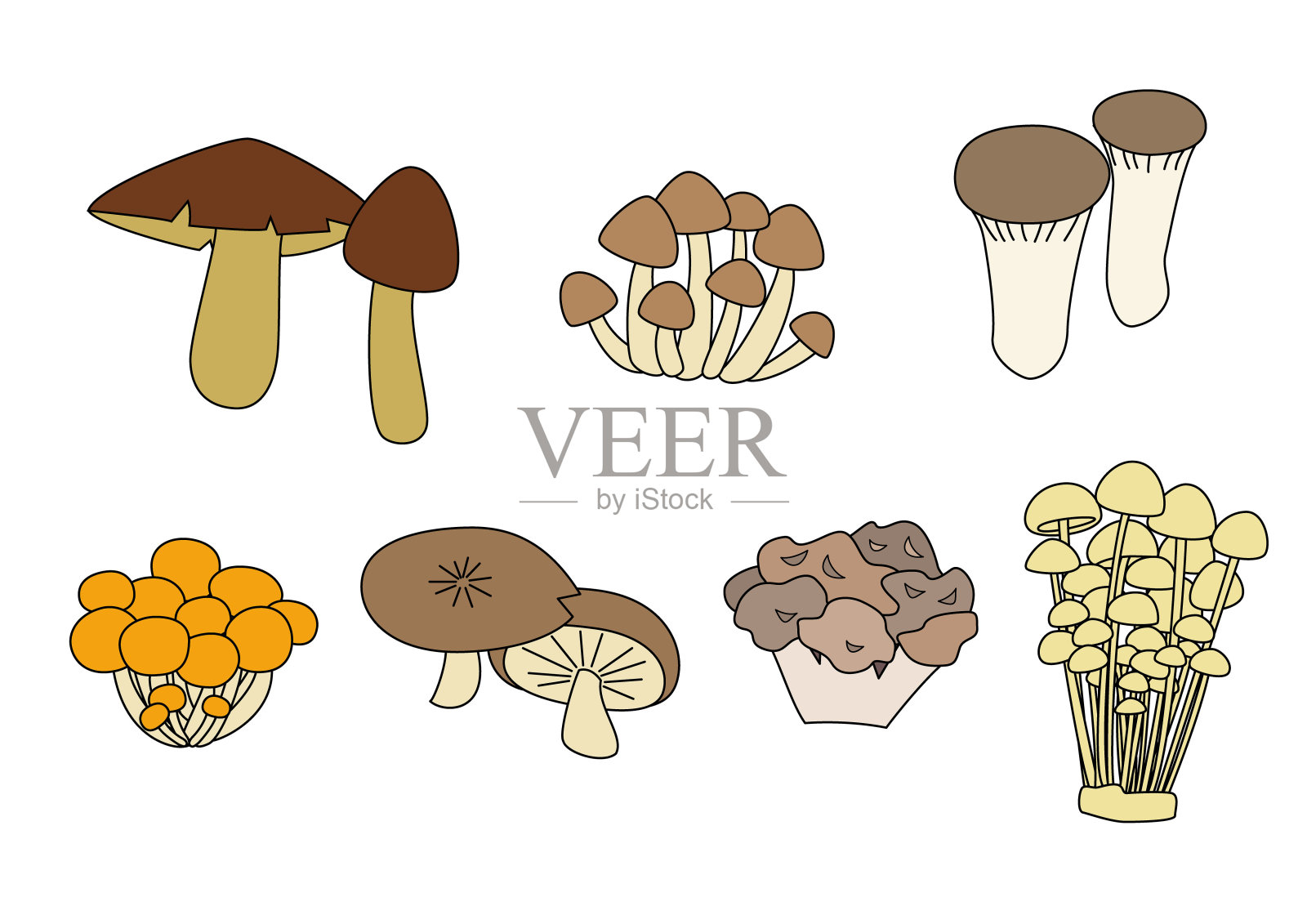 可食用的蘑菇集插画图片素材