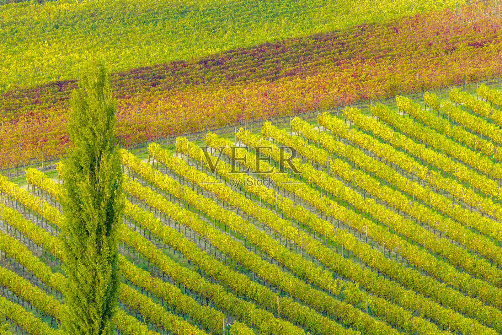 意大利托斯卡纳和翁布里亚地区照片摄影图片