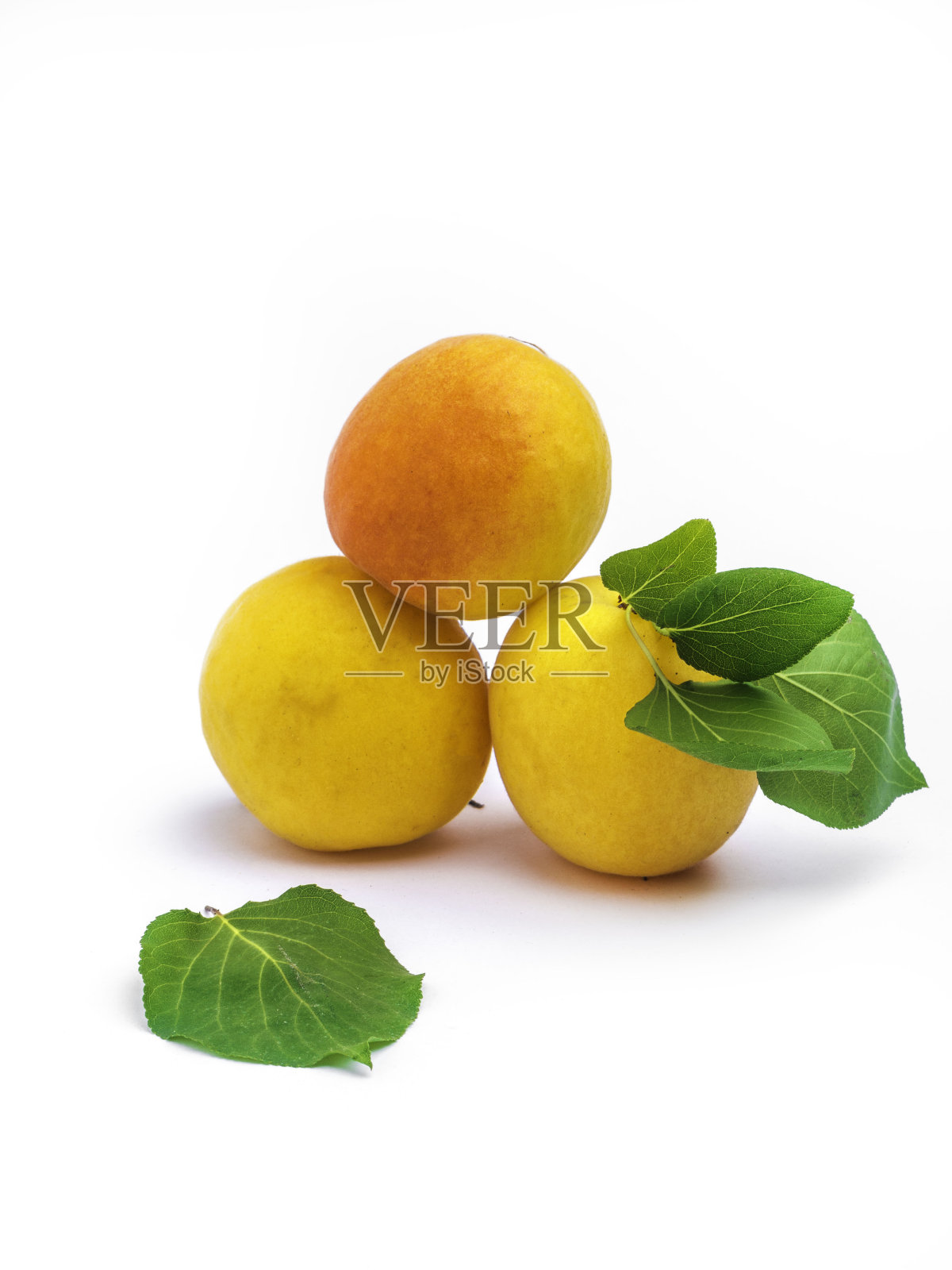 杏子孤立在白色上照片摄影图片