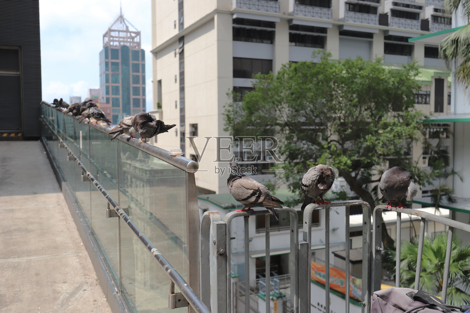 2019年5月18日香港西营盘照片摄影图片