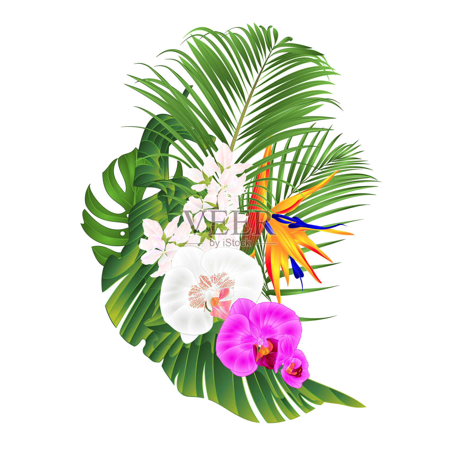 热带花卉花束与白紫兰蝴蝶兰棕榈巨叶香蕉复古矢量插图可编辑设计元素图片