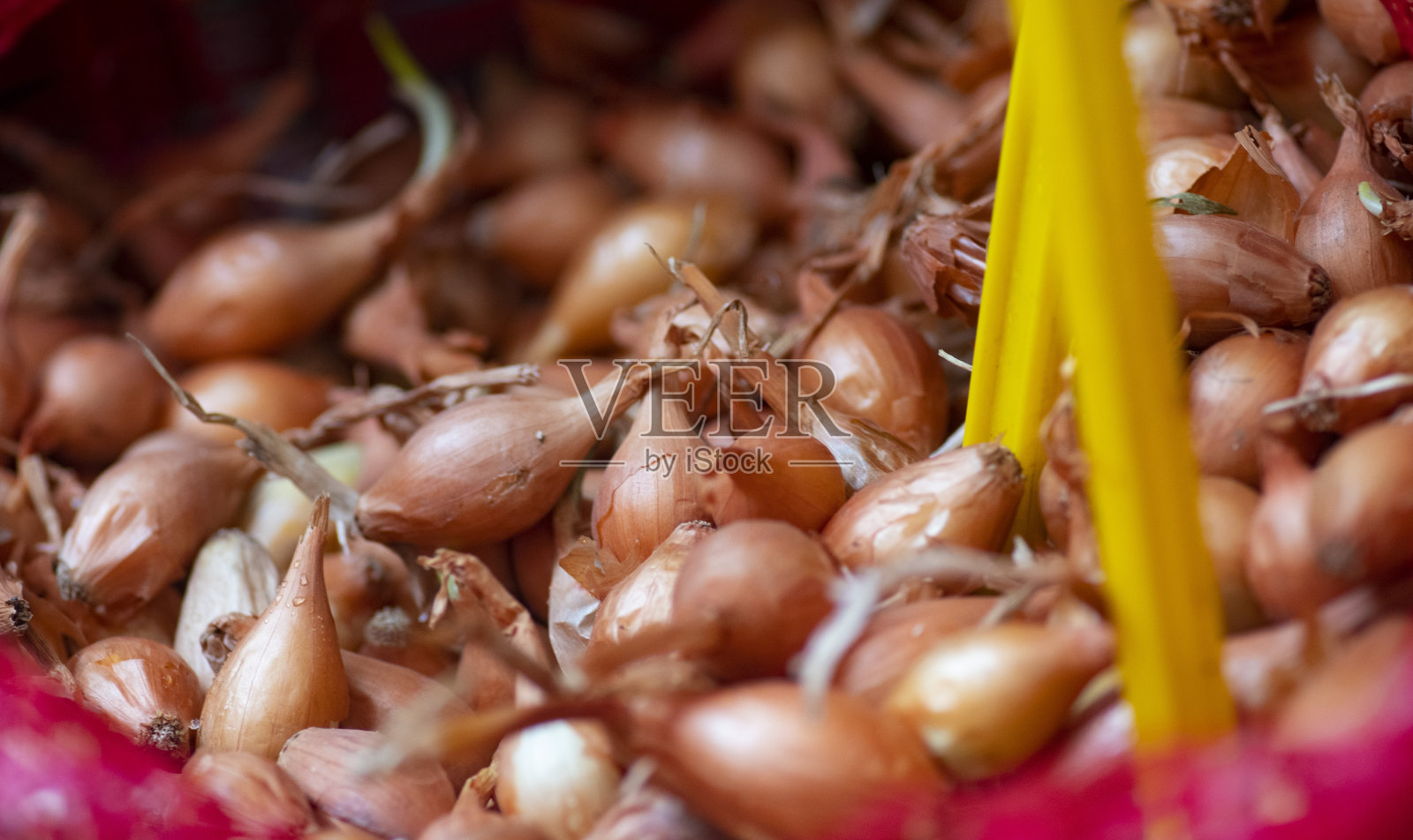 市场上出售的红洋葱照片摄影图片