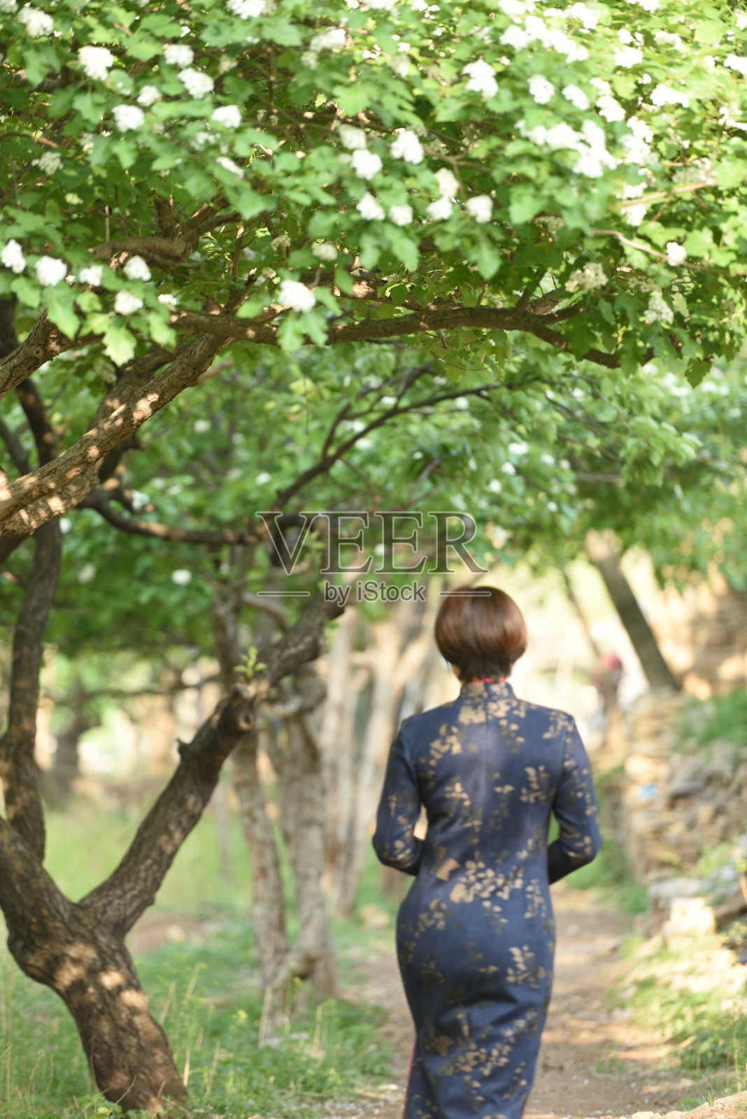 山楂树下展示着中国传统服饰照片摄影图片