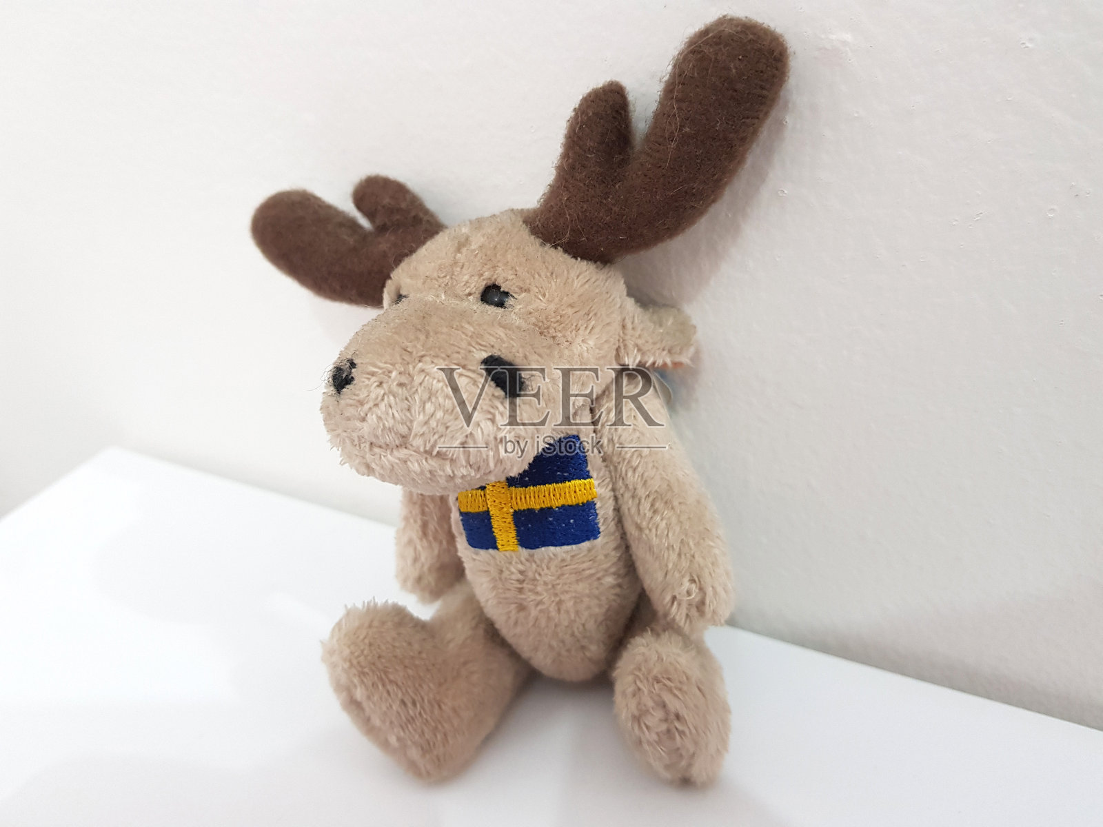 驼鹿照片摄影图片