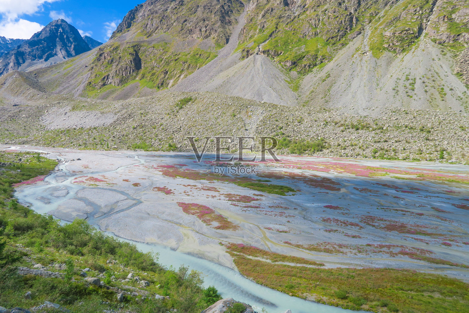 阿克姆冰川河流和山景。阿尔泰山的夏天。俄罗斯照片摄影图片