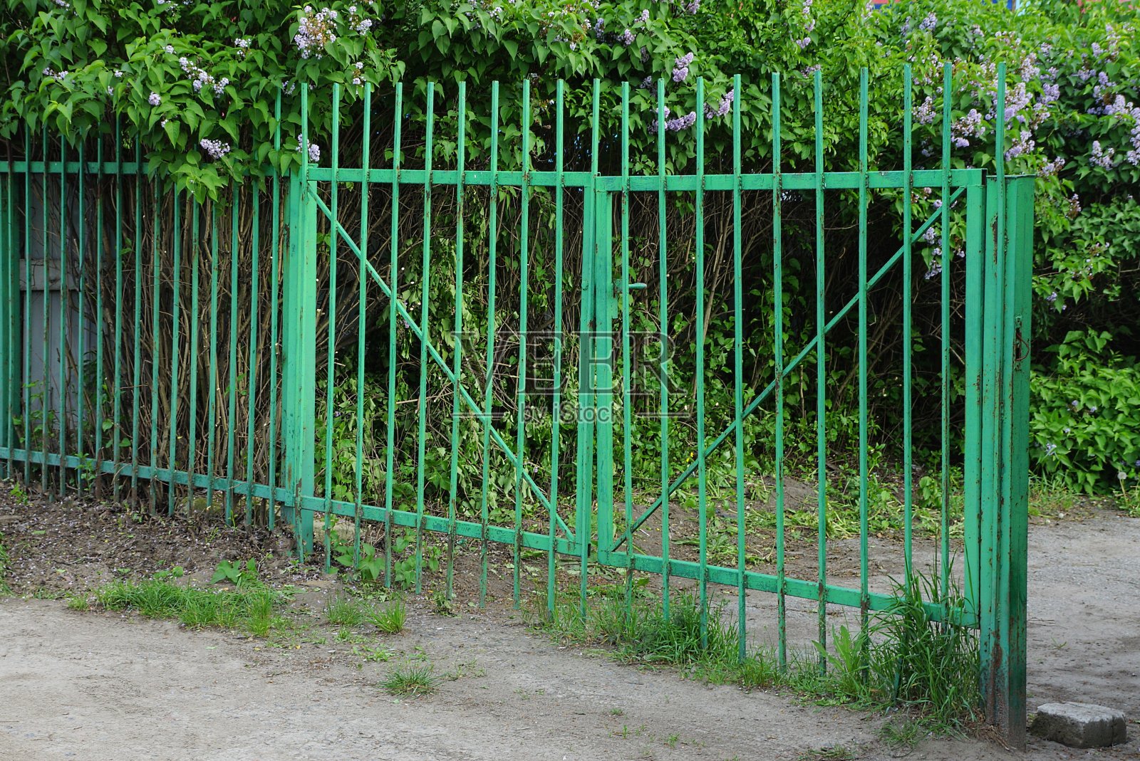 铁门和绿色植被中的树枝照片摄影图片