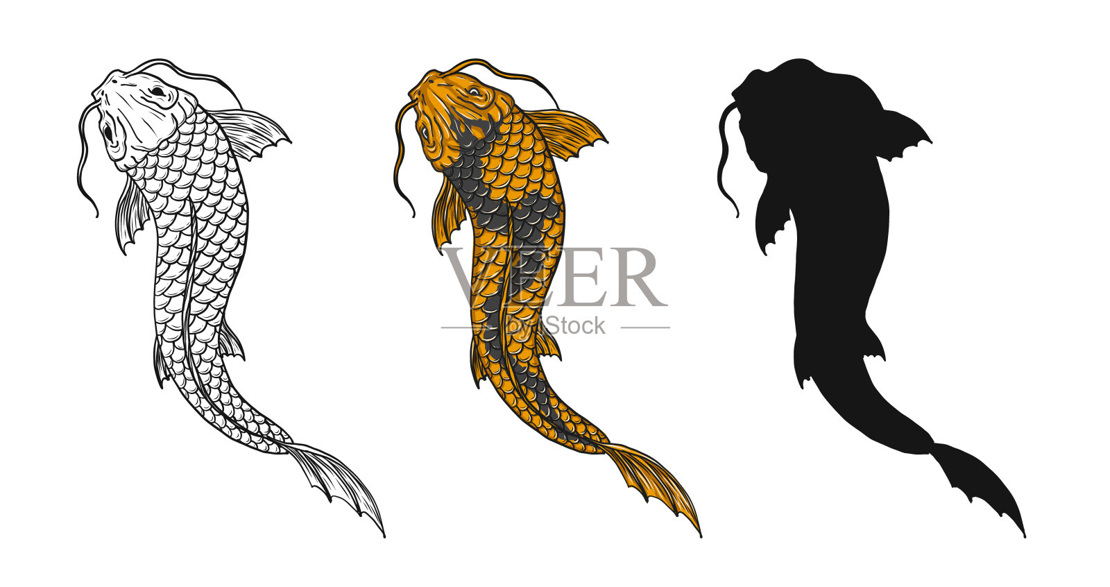 锦鲤鱼矢量纹身手绘。插画图片素材