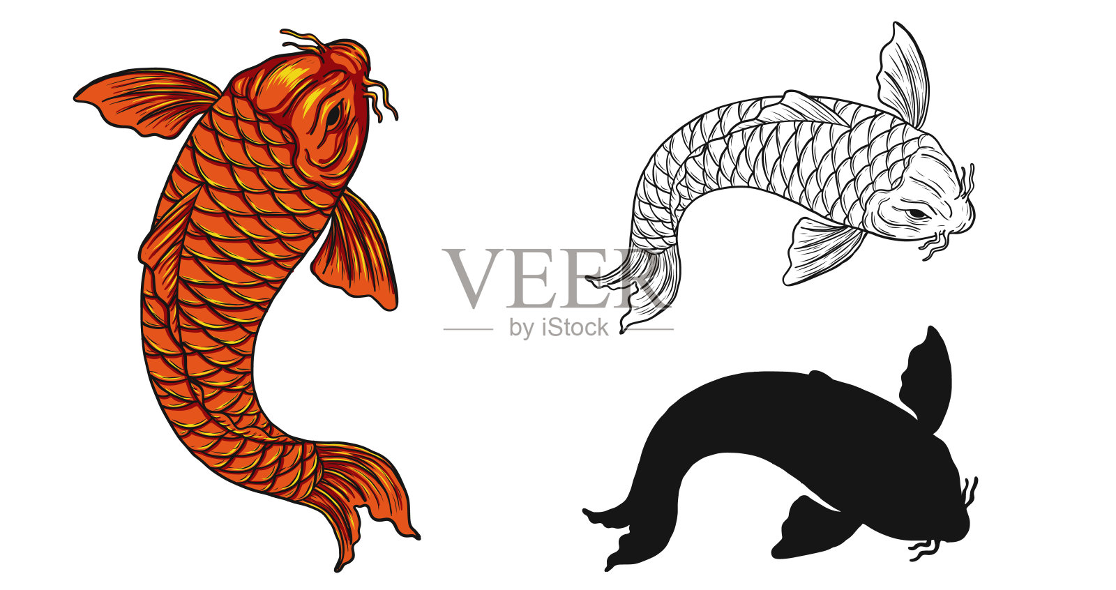 锦鲤鱼矢量纹身手绘。插画图片素材